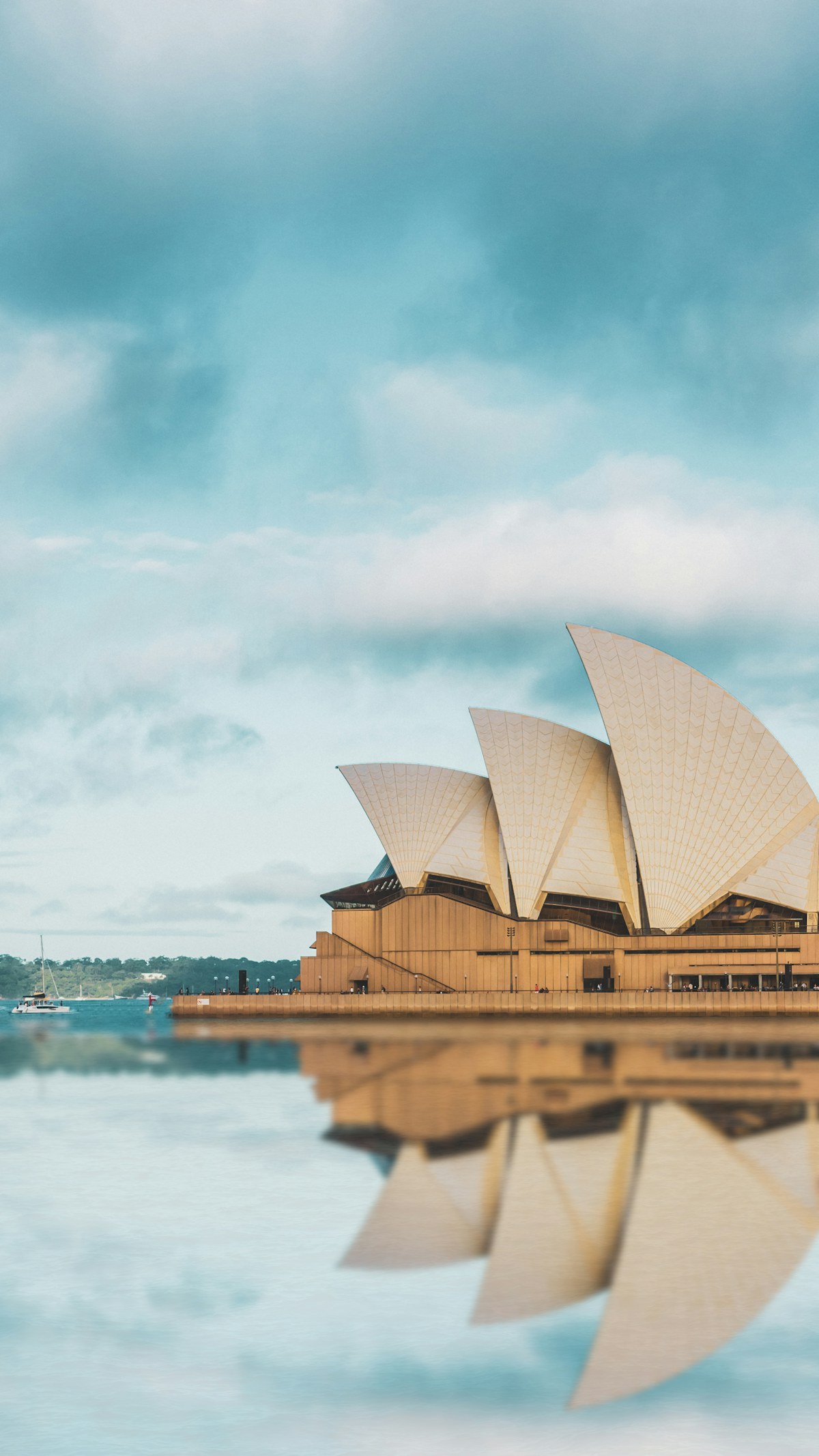 The Sydney Opera House lit gold against a deep indigo night sky, mirrored in the still harbour water.